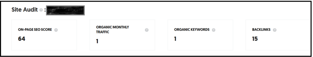 SEO Audit Shopify Store Jewelry